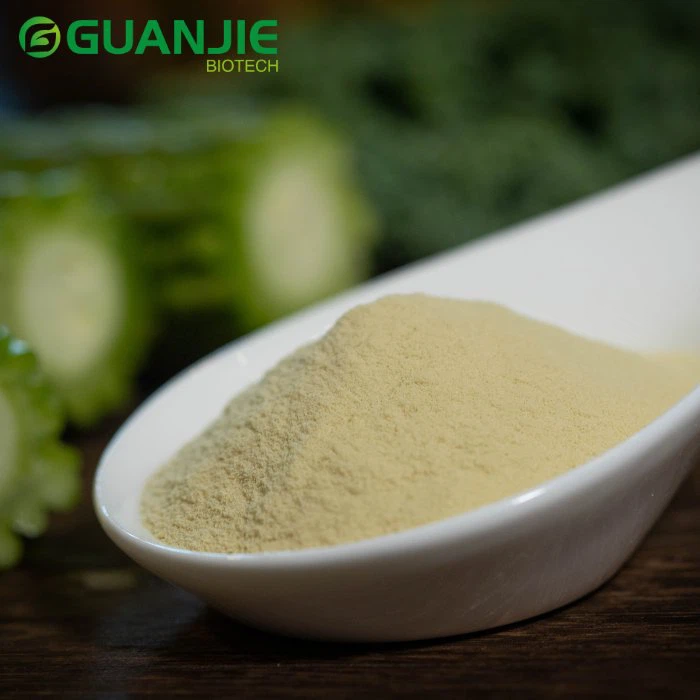 Bulk Bitter Melon Fruit Powder