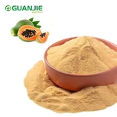 Bulk Papaya puder