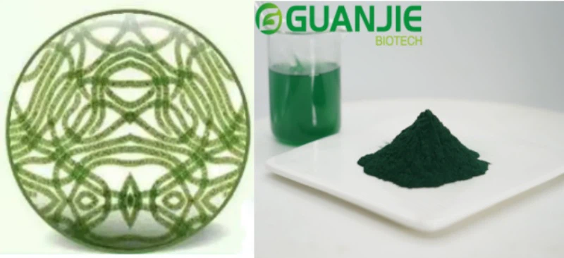 raw spirulina powder raw spirulina powder