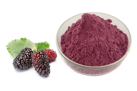 Mulberry Fruit Powder Mulberry Fruit Powder