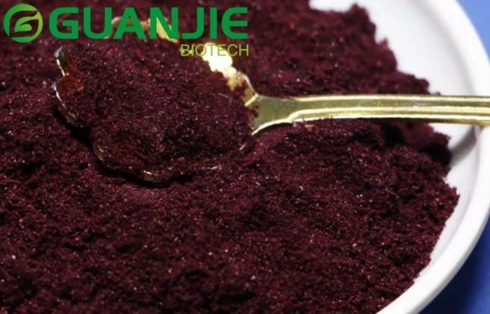 freeze-dried blueberry powder freeze-dried blueberry powder